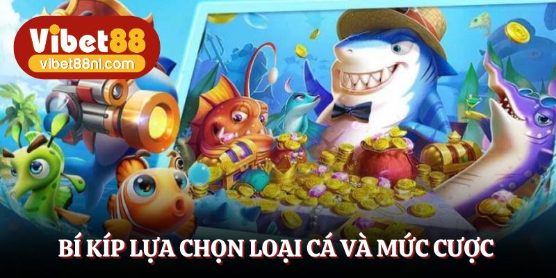 Bí kíp lựa chọn loại cá và mức cược thích hợp