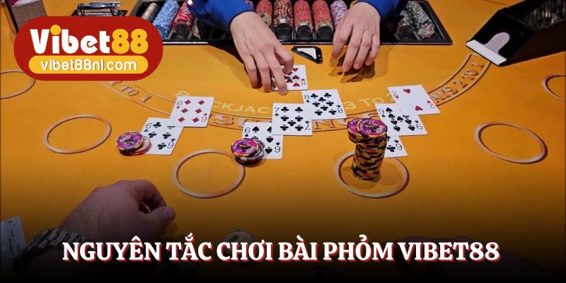 Khám phá nguyên tắc chơi phỏm cơ bản nhất