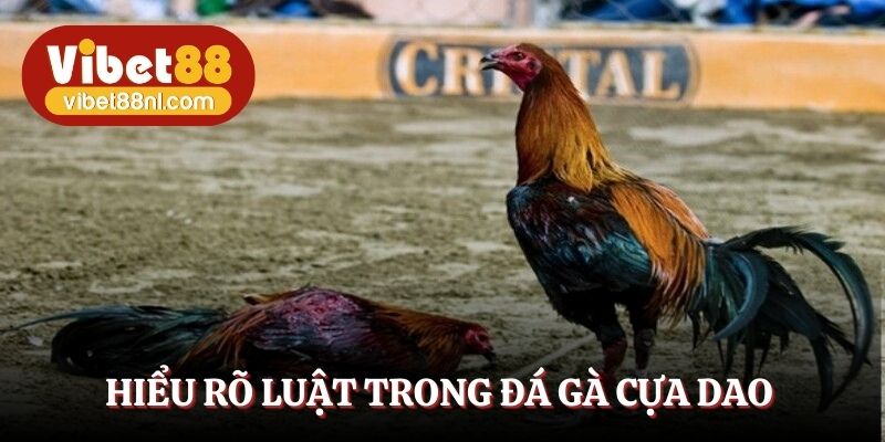 Hiểu rõ luật trong đá gà cựa dao