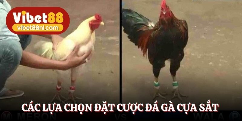 Các lựa chọn đặt cược đá gà cựa sắt