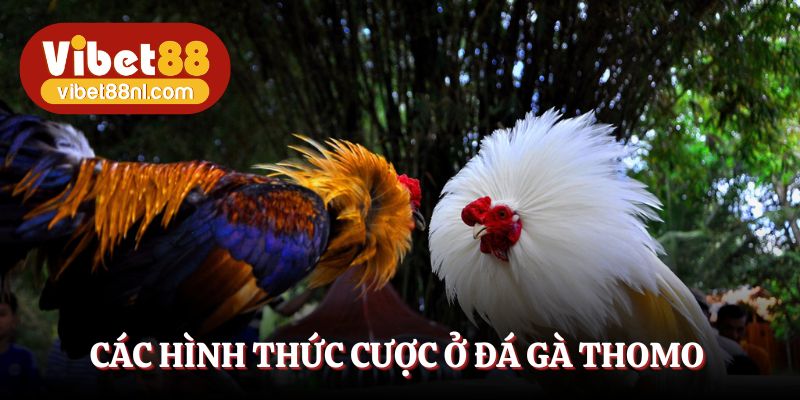 Tham gia những hình thức cược siêu phổ biến