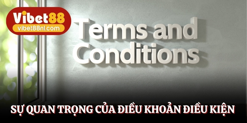 Tầm quan trọng của điều khoản dịch vụ tại nền tảng