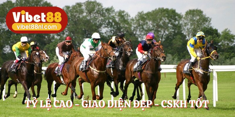 Đua ngựa VIBET88 có tỷ lệ cao, giao diện đẹp, CSKH tốt