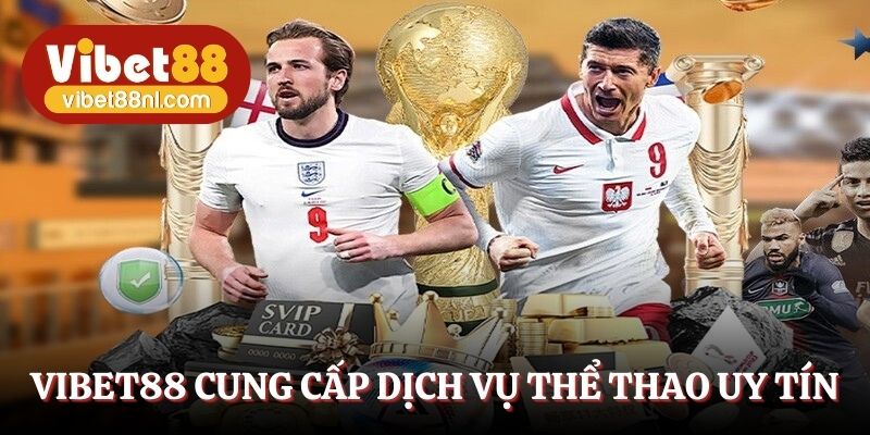 Vibet88 cung cấp dịch vụ giải trí thể thao uy tín